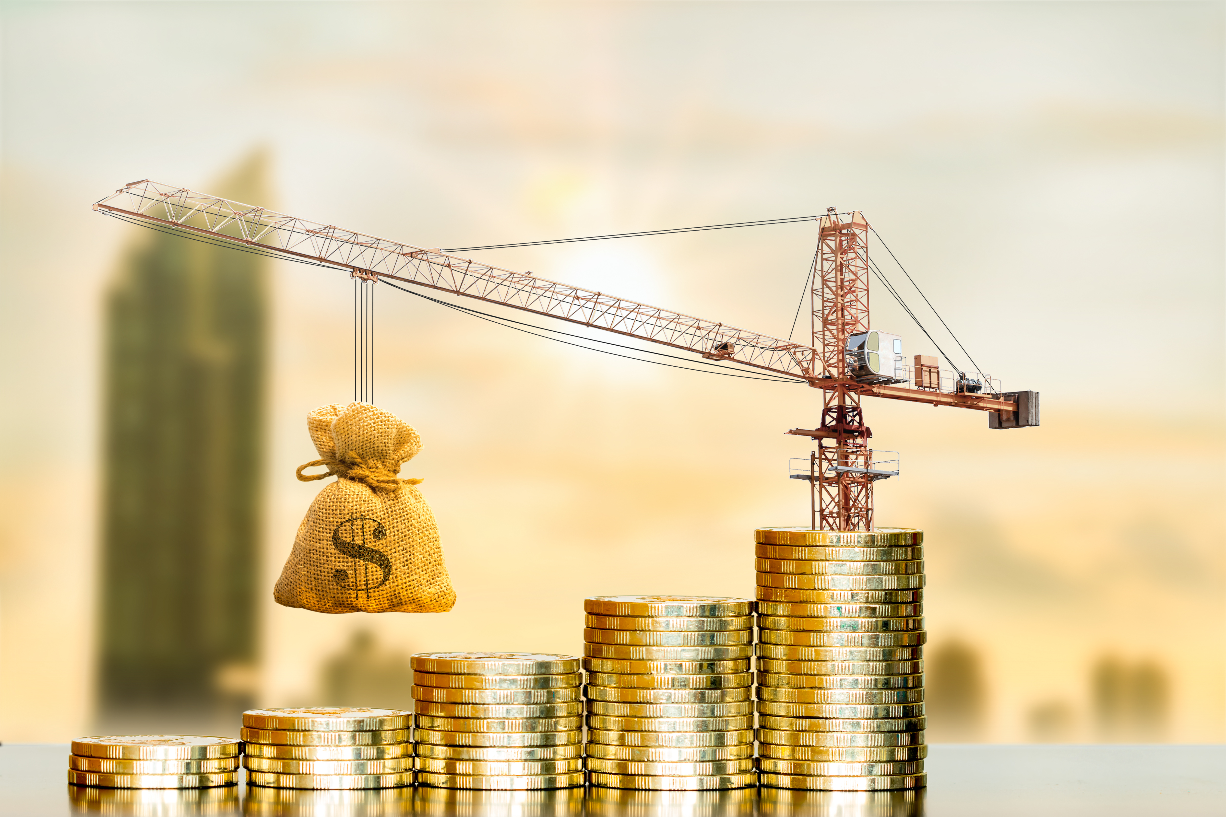 project loan